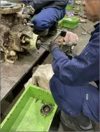 社員